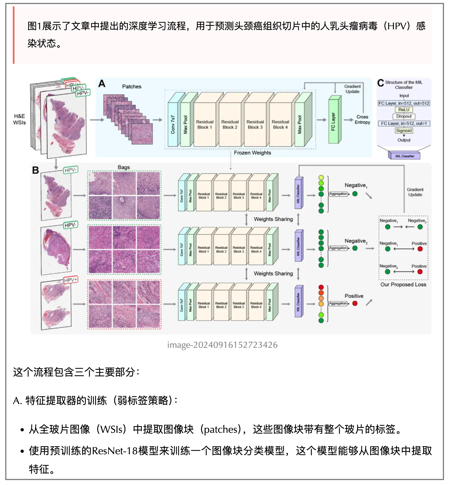 https://mp.weixin.qq.com/s/tkzMu1E2Imf4D2BOY_1cHw