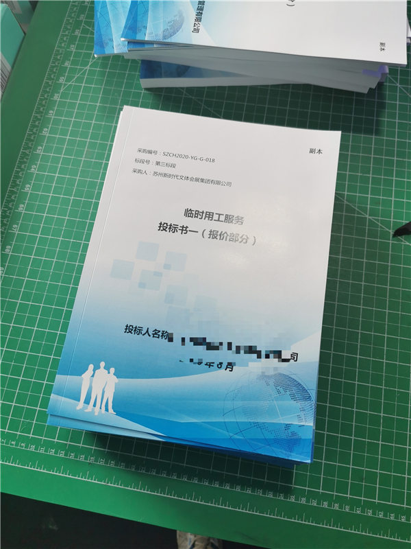 签出项目文件是什么上海徐汇区响应文件代写哪里有电话千帆标书