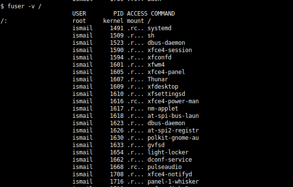 View Process Using Root Directory