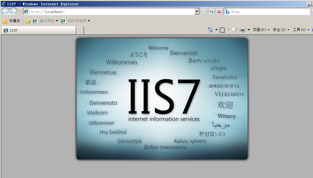 windows server 2008安装配置web服务器[亲测有效]_https://bianchenghao6.com/blog__第7张