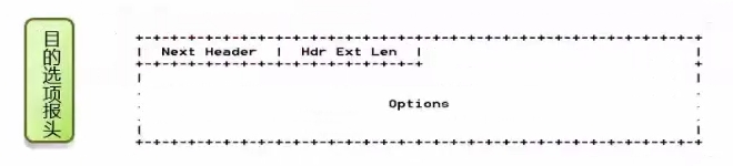 目的选项报头报文格式