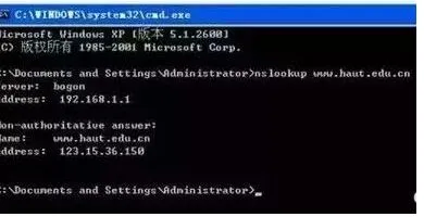 网工老杨最常用的11个网络命令，有你用的那个吗？
