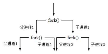 fork()函数创建进程