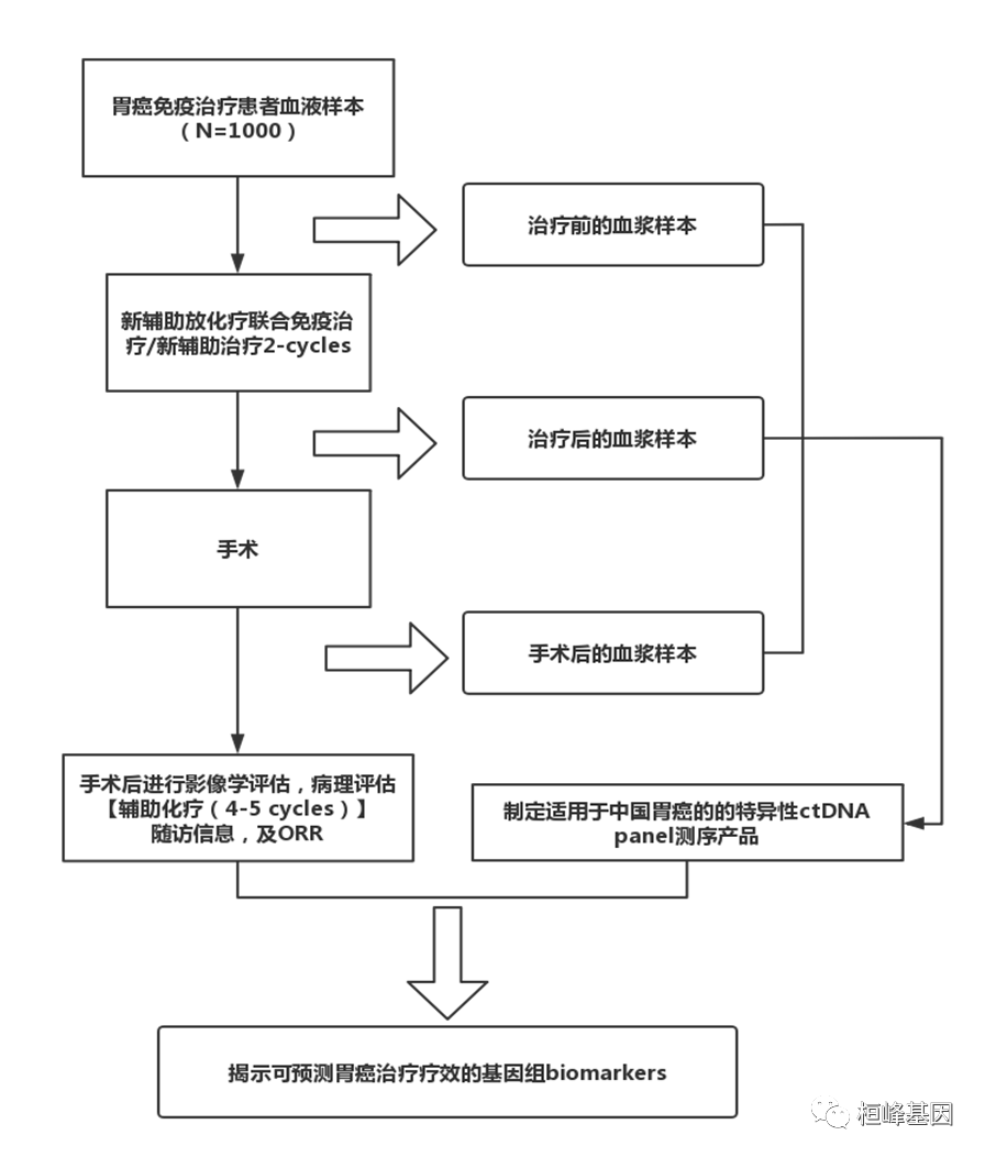 医疗辅助诊断系统的部署 1cc60c324e98049379b694fd03751957.png