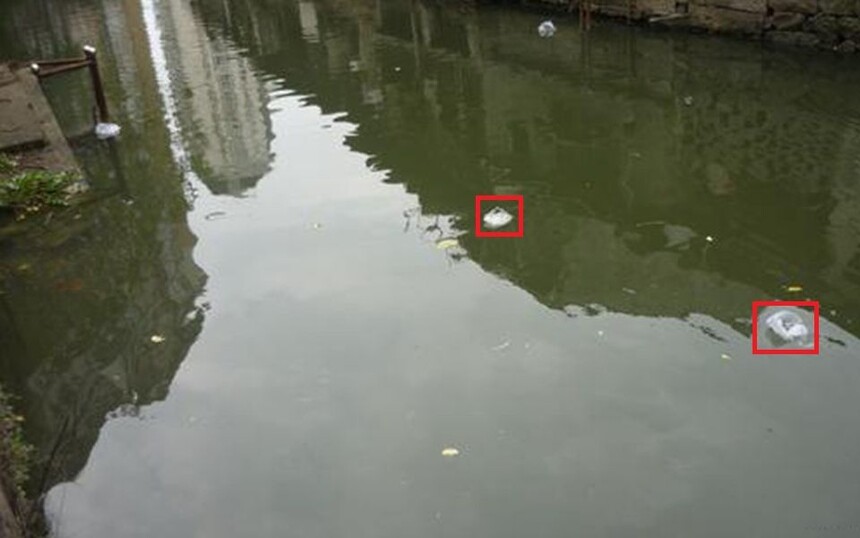 河道漂浮物监测识别摄像机