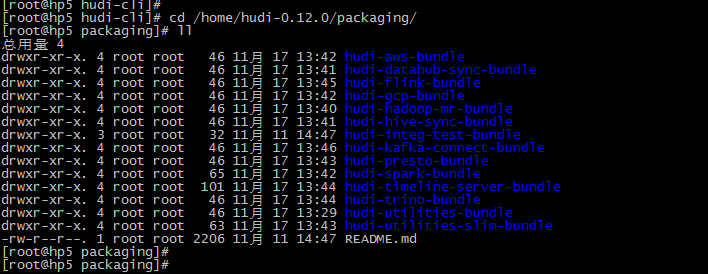 hadoop 3.x大数据集群搭建系列7-安装Hudi