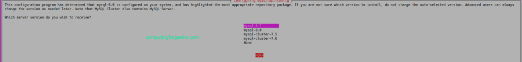 image-20210309221616932