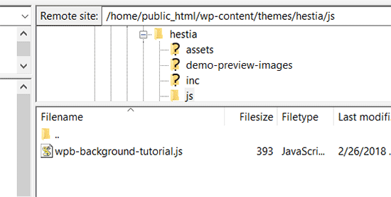 Upload your javascript file