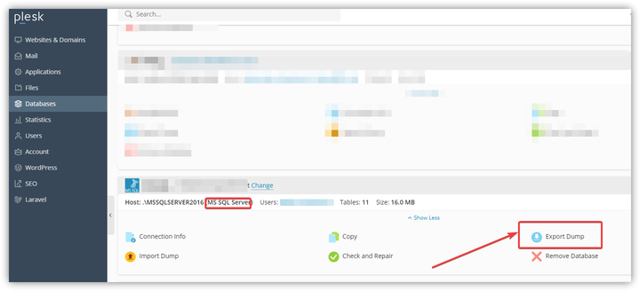 Plesk面板中如何导出的MS SQL server数据库