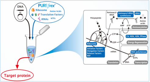 关于Cosmobio purefrex产品介绍