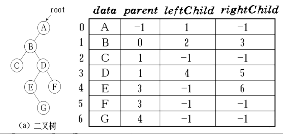 【树】树、二叉树的基础知识