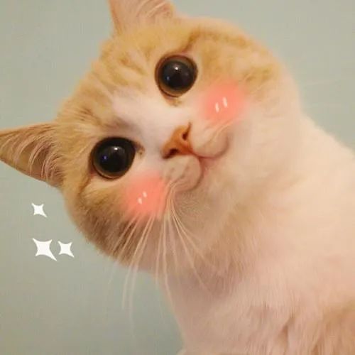 1d9468b61034a613a0ed970aa53e1222.png