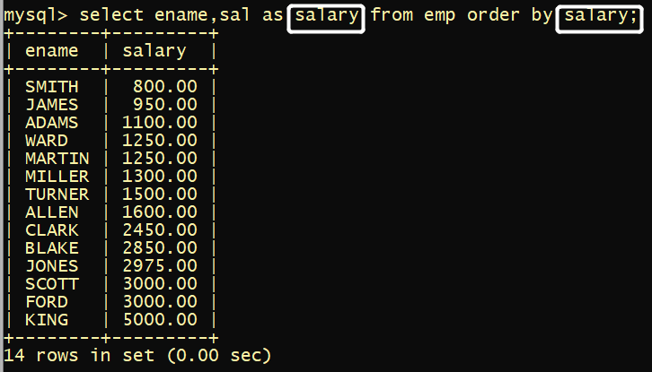 mysql5