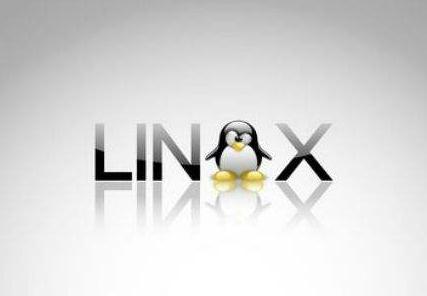 c#如何在linux上运行程序,在Linux上运行C#的方法是什么