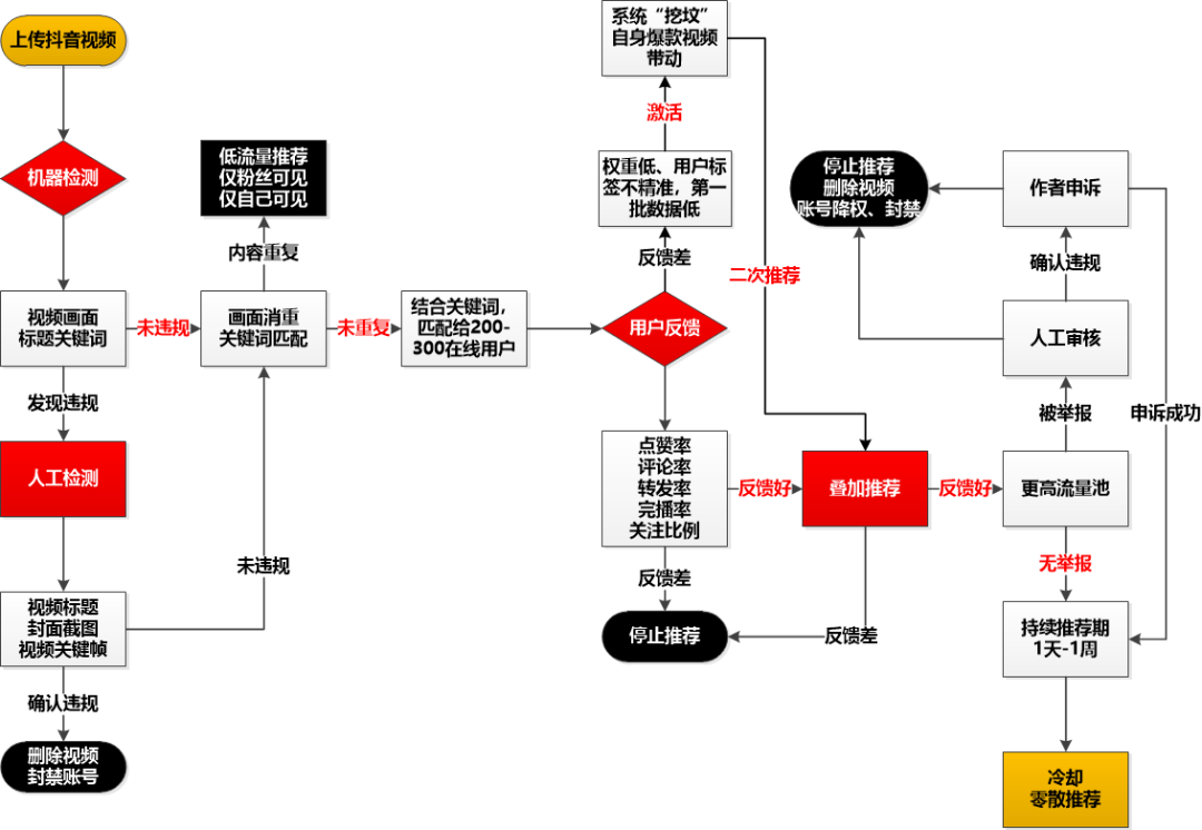 脱单流程图抖音图片