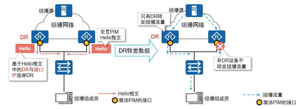 PIM DR选举