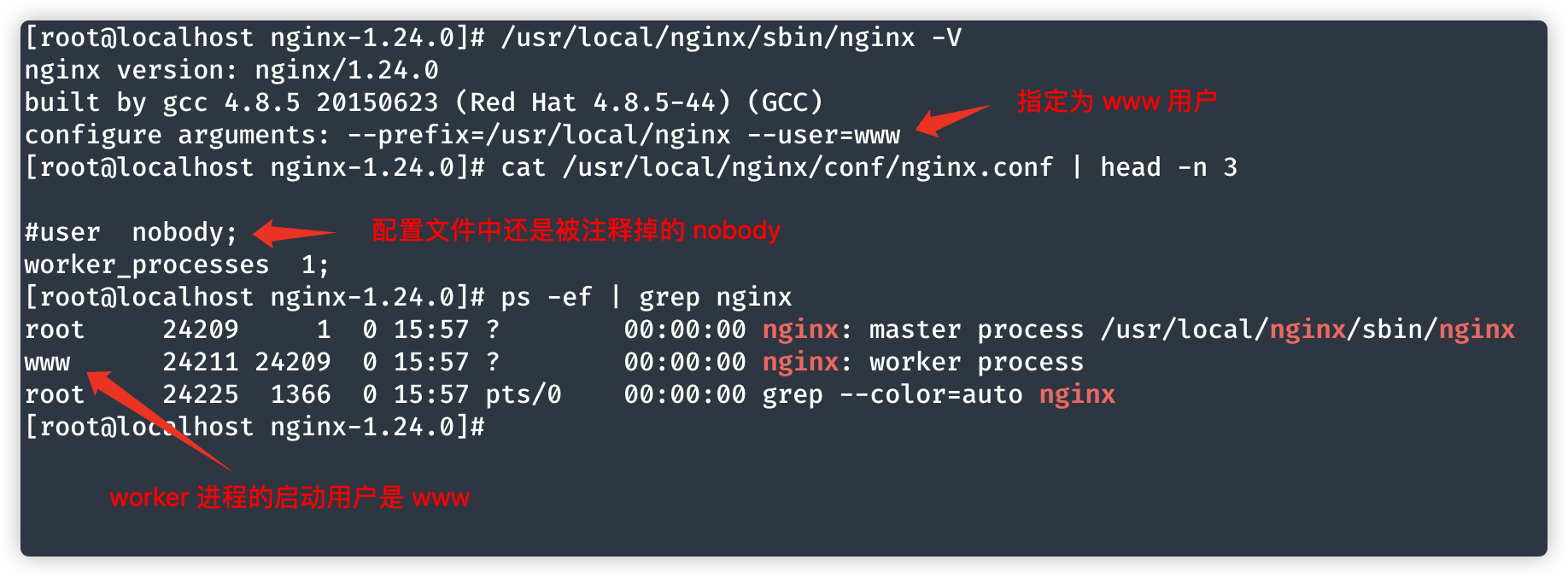 Nginx 全局块配置 user 指令详解