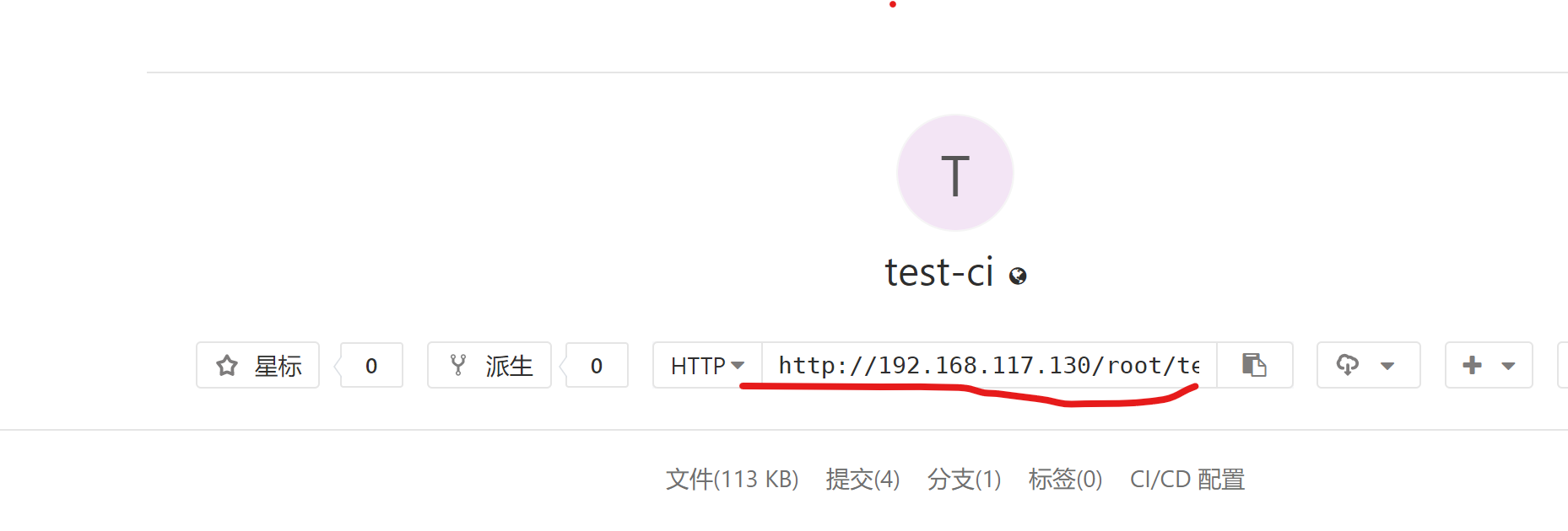 GitLab clone 地址 不对