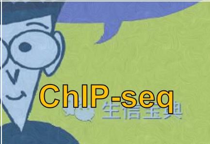 1e5207f7f5f68c93949f6071711b9ca2.jpeg
