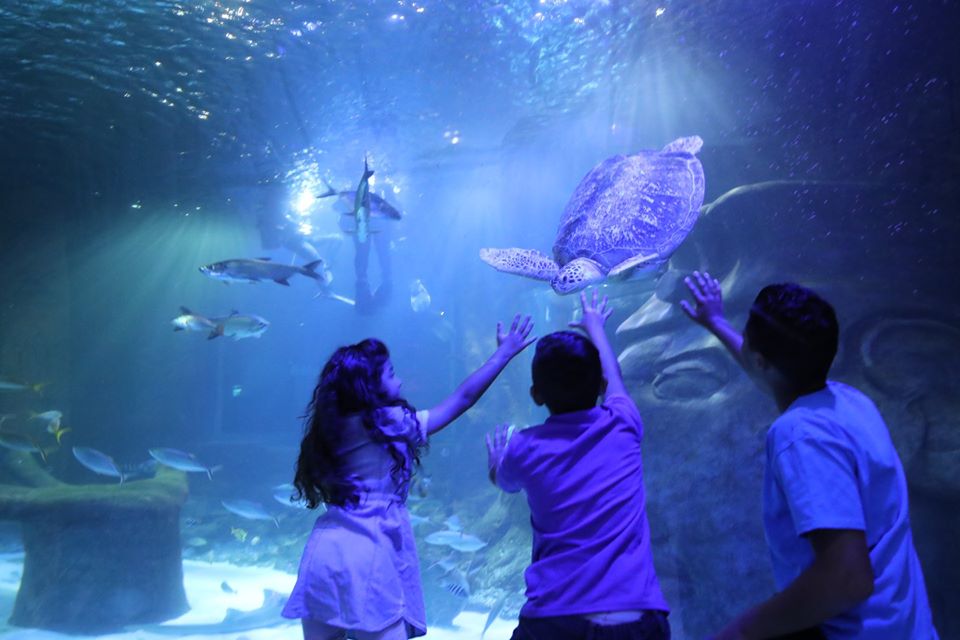 世界海洋日 | 徜徉于新泽西海洋生物水族馆，记录趣味纽约旅行