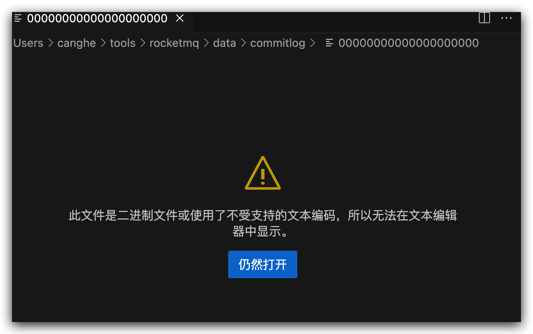 commitLog是个二进制文件