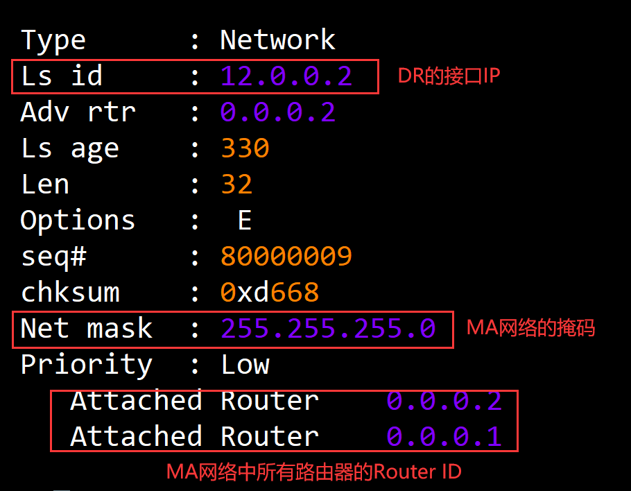 OSPF 2类LSA详解
