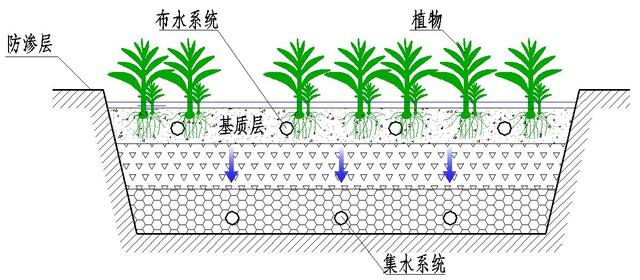 人工湿地技术的机理主要是:利用系统中基质,水生植物,微生物的物理