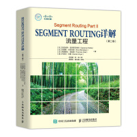 Segment Routingè¯¦è§£ ç¬¬äºå· æµéå·¥ç¨