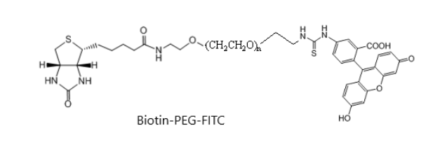 Biotin-PEG-FITC 生物素聚乙二醇荧光素；FITC-PEG-Biotin 科研用生物试剂