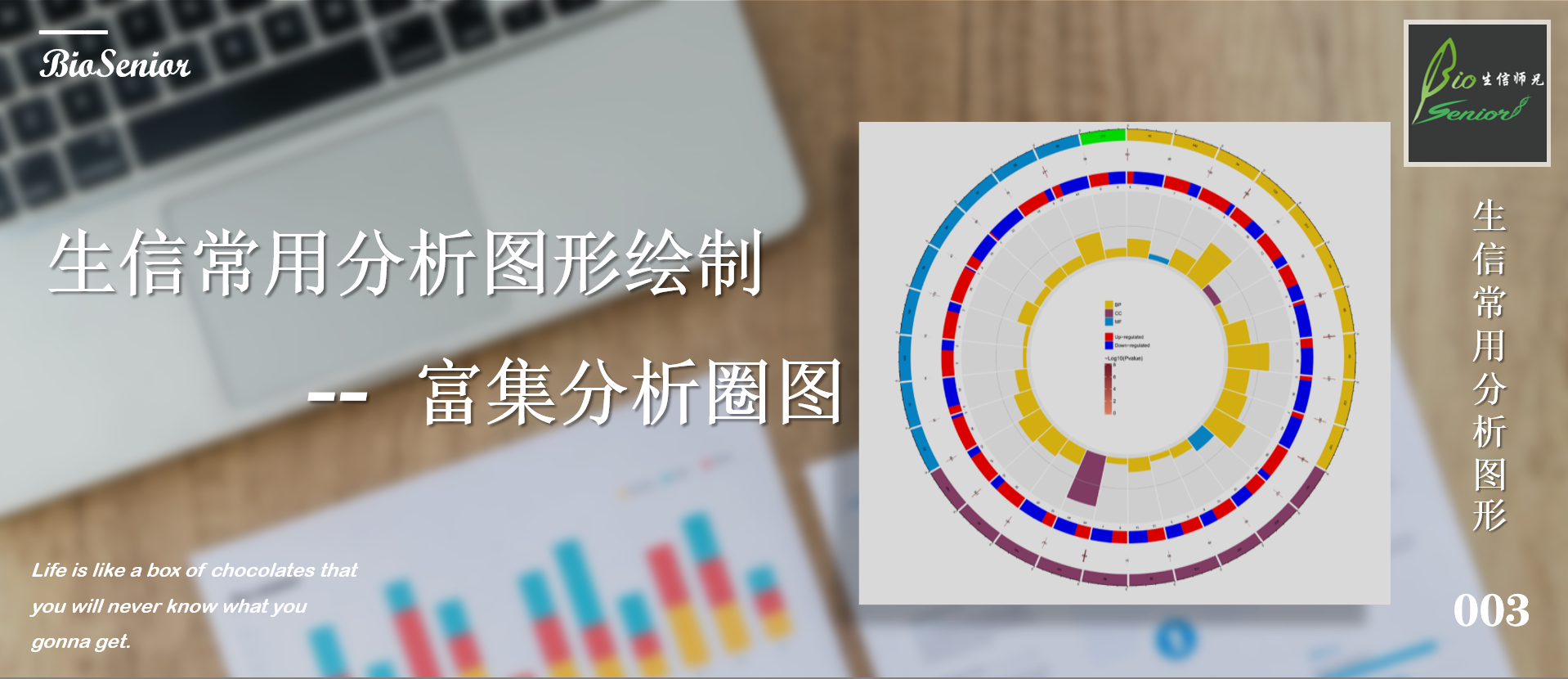 生信常用分析图形绘制03 -- 富集分析圈图_生信画图代码-CSDN博客