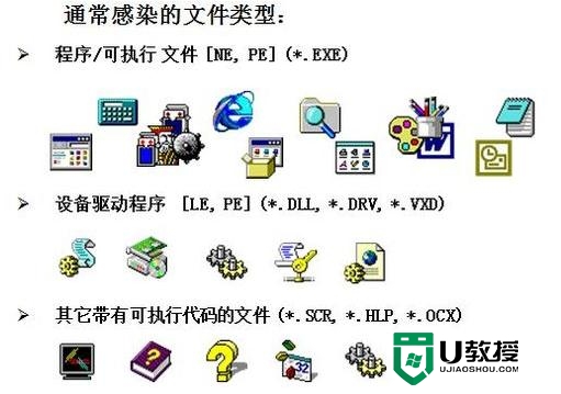 17计算机病毒计算机病毒的病毒的分类川大计算机文化基础000817秋在