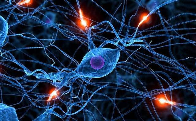 科学计算机真正能模仿大脑的计算机我国类脑计算机领先世界含上亿神经