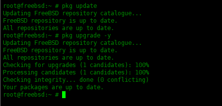 Examples of using the pkg package manager in FreeBSD Examples of using the pkg package manager in FreeBSD