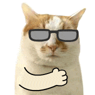 1f77991174b8557456721dff492b20c3.gif