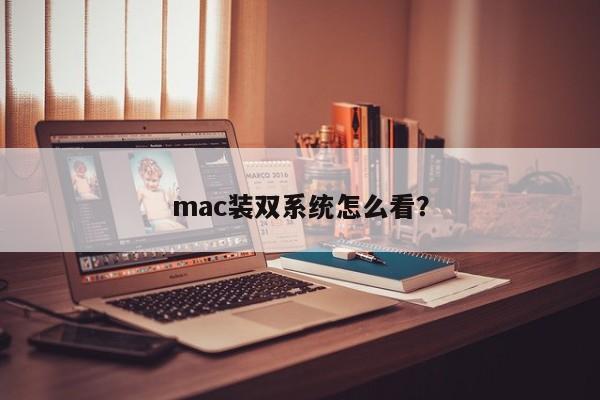 mac装双系统怎么看？