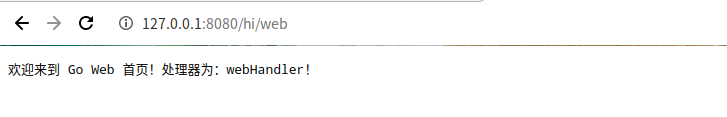 运行访问 /hi/web 结果图