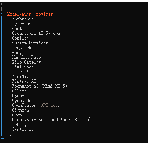 选择 OpenRouter 并输入 Key