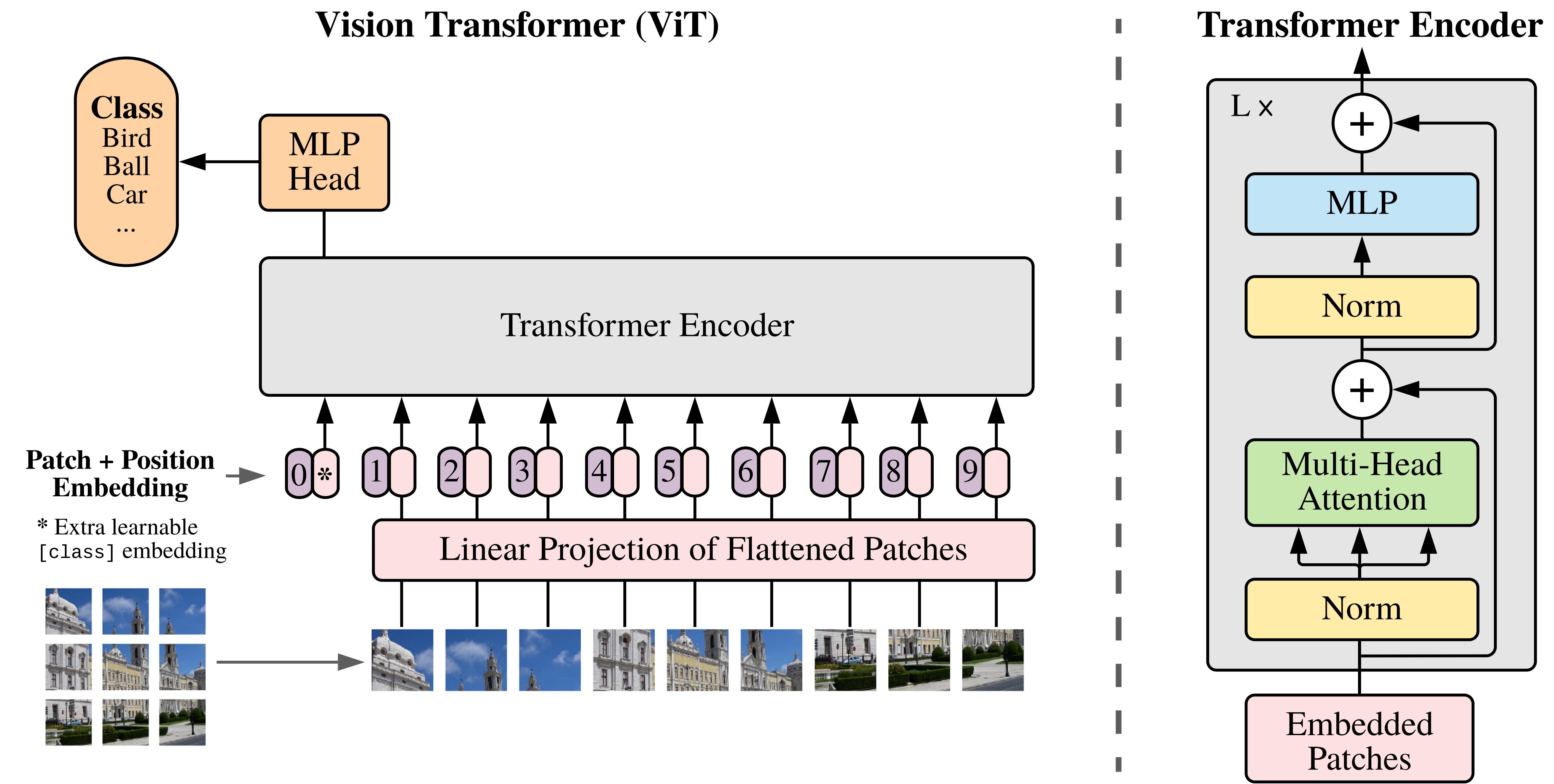 Vision Transformer (ViT)浅析