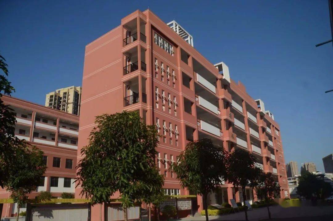 2021年宾阳开智中学高考成绩查询宾阳县2020年中考成绩出炉看看你能报