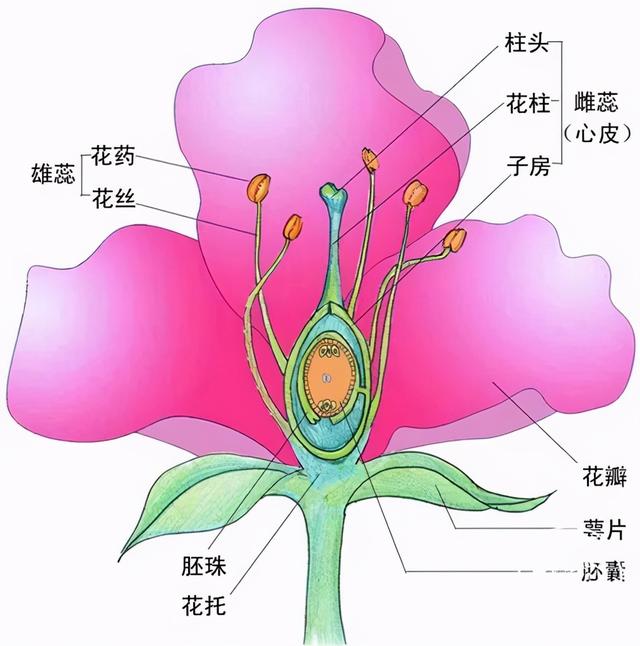 xml.xmlexception: 缺少根元素.