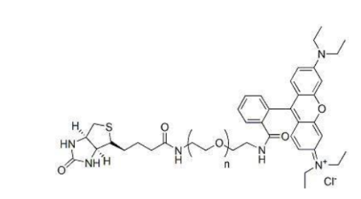 双功能修饰性PEG；荧光标记聚乙二醇：罗丹明-聚乙二醇-生物素RB-PEG-Biotin