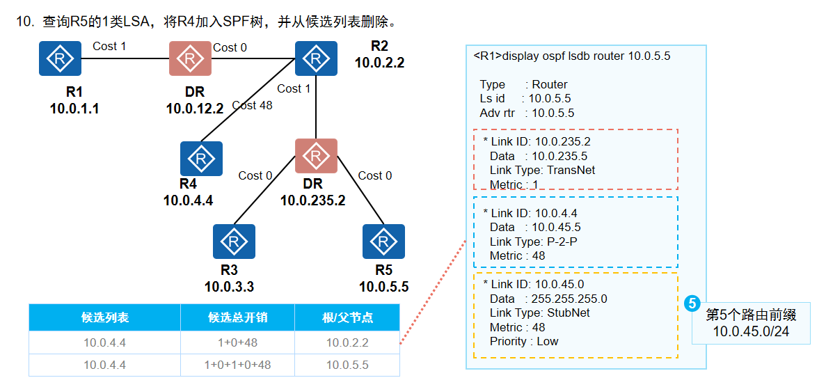 构建SPF树6