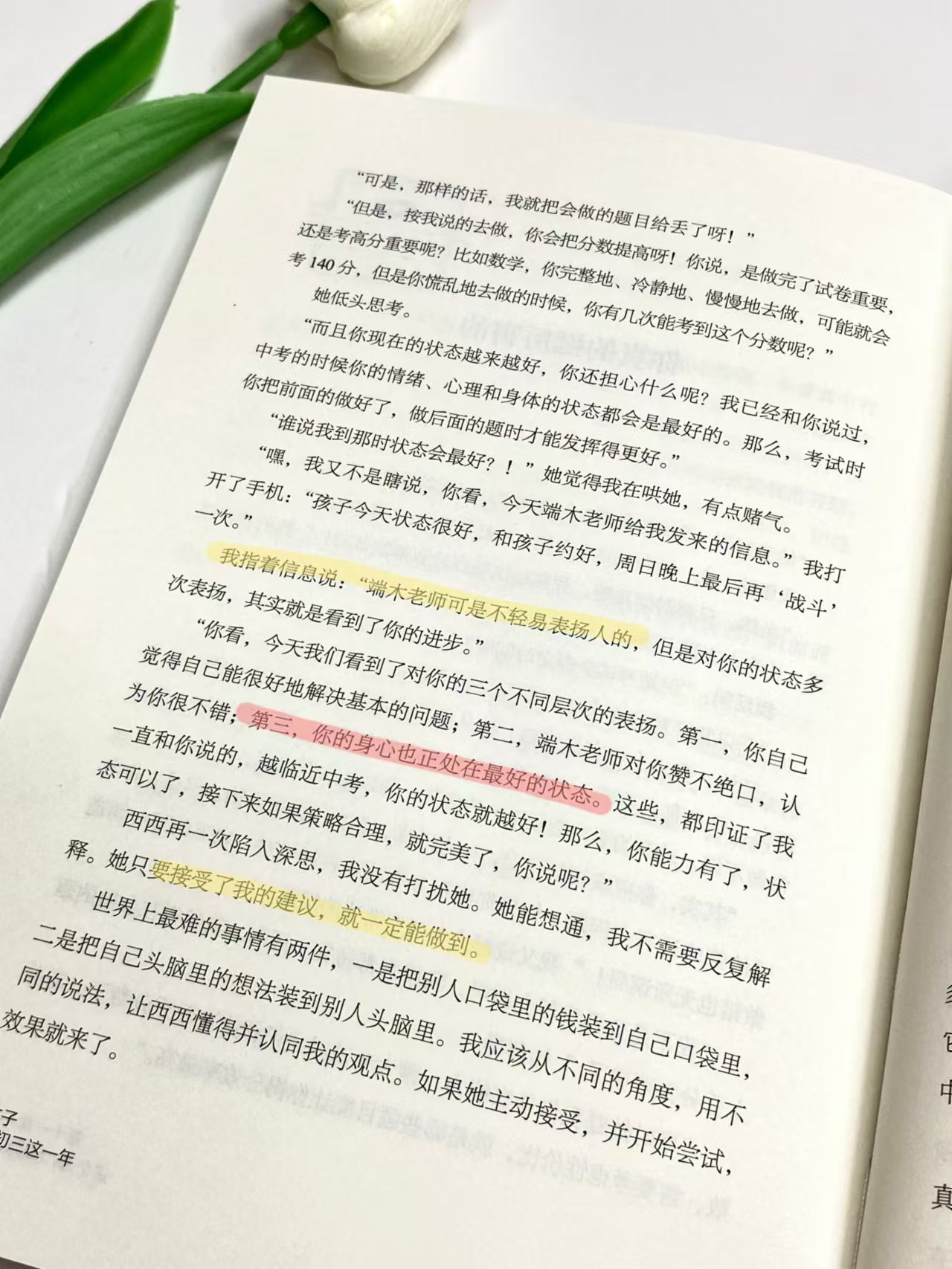 20682d48fd2496b15ab2d9b492ab9ab8.jpeg
