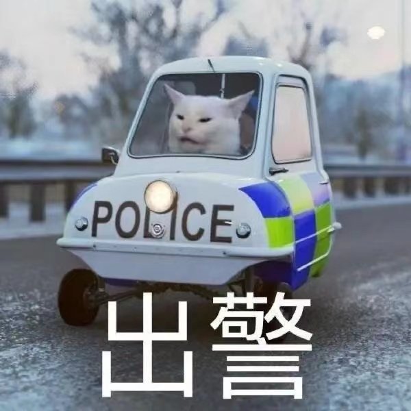 police (猫咪出警表情包)