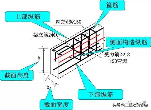 若矩形截面梁的高度和宽度_梁钢筋平法识图入门基础,一看就明白!