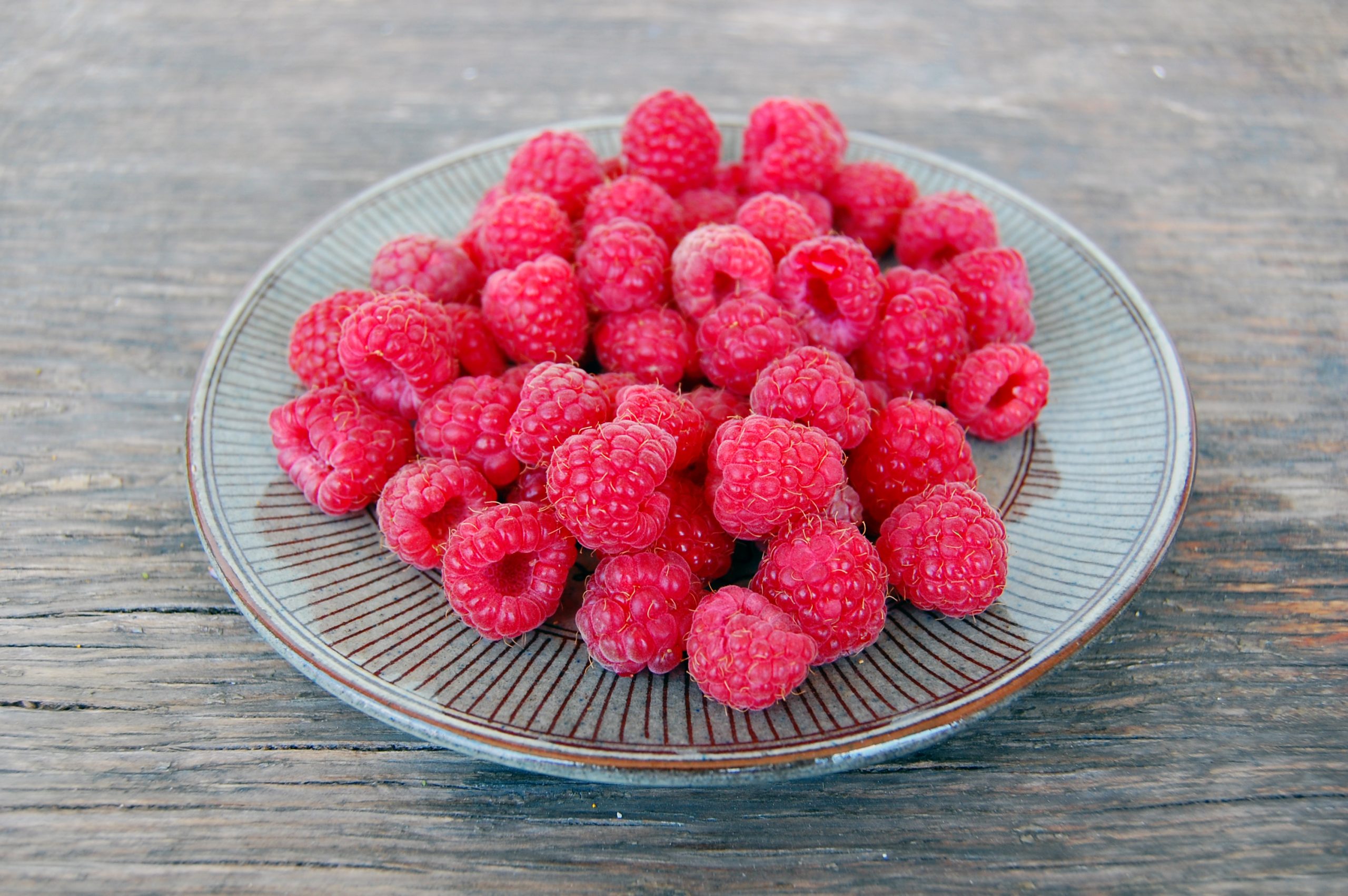 gurmar tea: everything you need to know