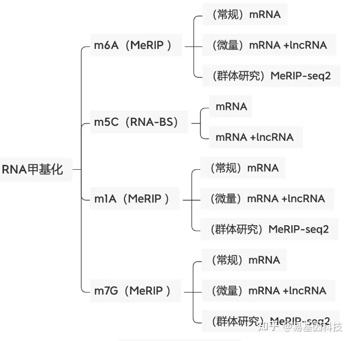 干货系列：高通量测序后的下游实验验证方法——m6A RNA甲基化篇｜易基因