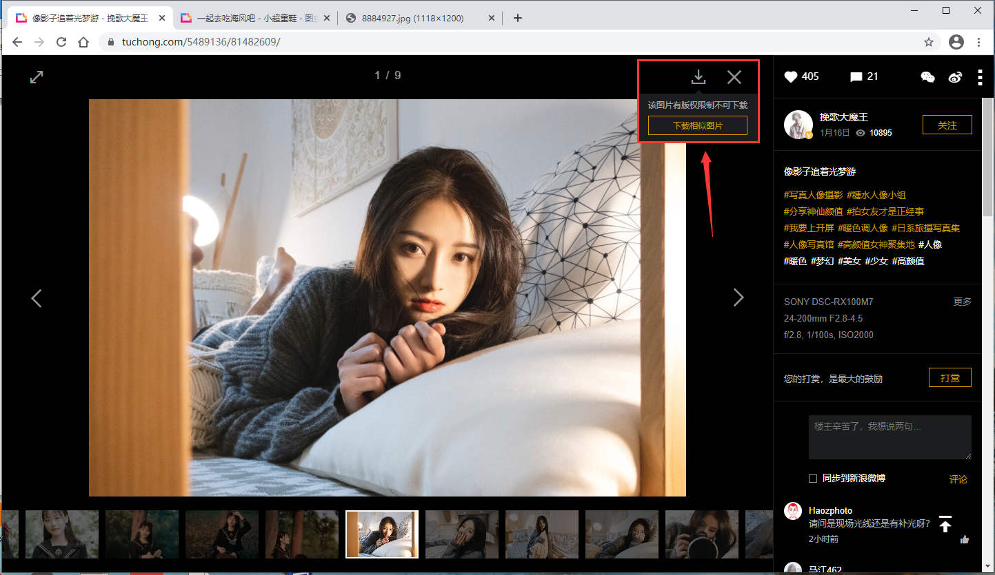 有版权不可下载