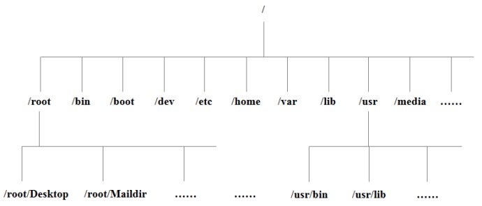 Linux入门教程||Linux系统目录结构