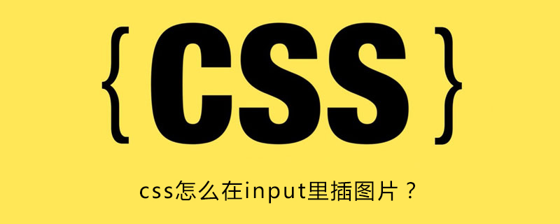 21f06fea564fc57e7e1e9bc0d6b5d6b4.png